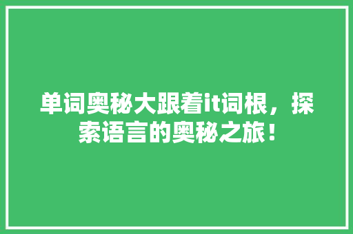 单词奥秘大跟着it词根，探索语言的奥秘之旅！ 网站建设公司
