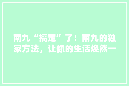 南九“搞定”了！南九的独家方法，让你的生活焕然一新！ 网站建设公司