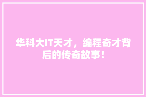 华科大IT天才，编程奇才背后的传奇故事！ 神马SEO