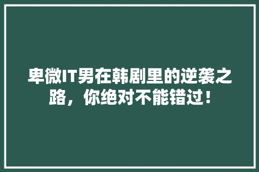 卑微IT男在韩剧里的逆袭之路，你绝对不能错过！ 搜狗SEO