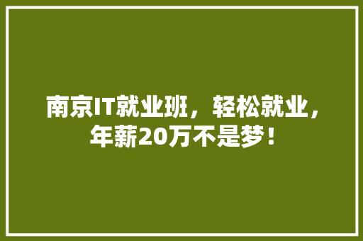 南京IT就业班，轻松就业，年薪20万不是梦！ 网站建设公司