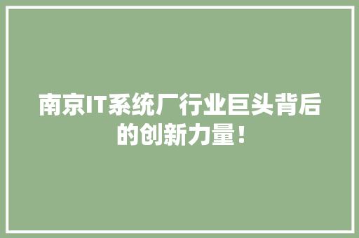 南京IT系统厂行业巨头背后的创新力量！ SEO关键词