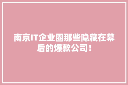 南京IT企业圈那些隐藏在幕后的爆款公司！ 神马SEO