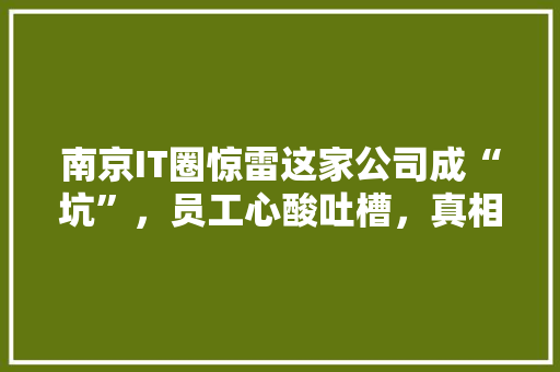 南京IT圈惊雷这家公司成“坑”，员工心酸吐槽，真相曝光！ 神马SEO