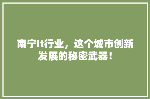 南宁It行业，这个城市创新发展的秘密武器！ 神马SEO