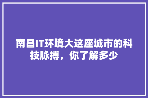 南昌IT环境大这座城市的科技脉搏，你了解多少 百度SEO