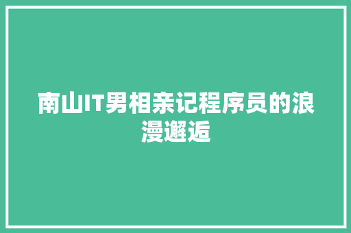 南山IT男相亲记程序员的浪漫邂逅 神马SEO