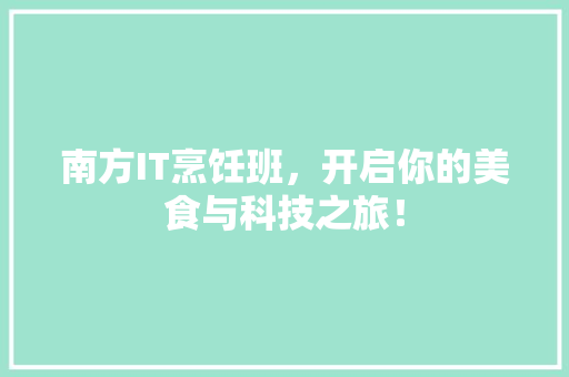 南方IT烹饪班，开启你的美食与科技之旅！ 百度SEO