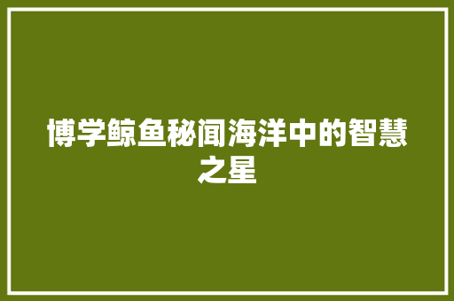 博学鲸鱼秘闻海洋中的智慧之星 搜狗SEO