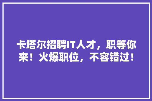 卡塔尔招聘IT人才，职等你来！火爆职位，不容错过！ 必应SEO