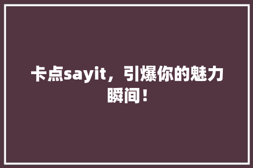 卡点sayit，引爆你的魅力瞬间！ 搜狗SEO