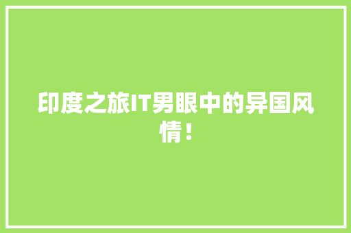 印度之旅IT男眼中的异国风情！ 必应SEO