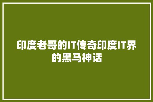 印度老哥的IT传奇印度IT界的黑马神话 网站建设公司