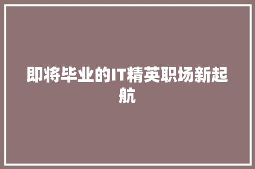 即将毕业的IT精英职场新起航 百度SEO