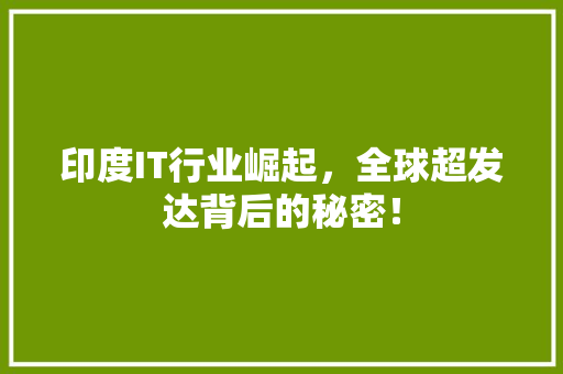 印度IT行业崛起，全球超发达背后的秘密！ 神马SEO