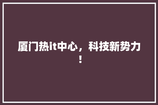 厦门热it中心，科技新势力！ 神马SEO