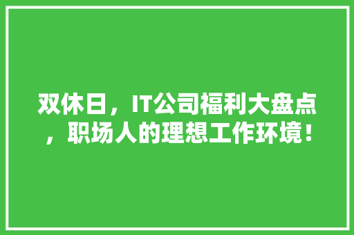 双休日，IT公司福利大盘点，职场人的理想工作环境！ SEO关键词