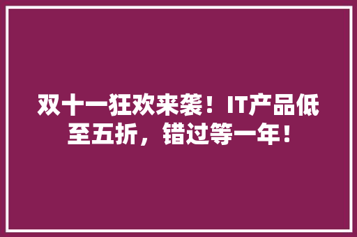 双十一狂欢来袭！IT产品低至五折，错过等一年！ 搜狗SEO