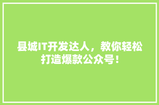 县城IT开发达人，教你轻松打造爆款公众号！ 神马SEO