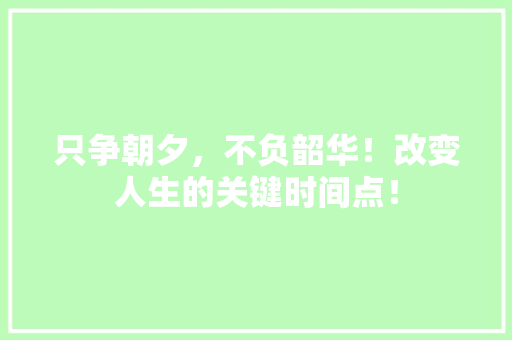 只争朝夕，不负韶华！改变人生的关键时间点！ 网站建设公司