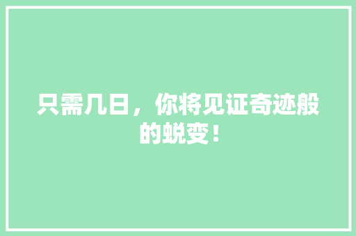 只需几日，你将见证奇迹般的蜕变！ SEO关键词