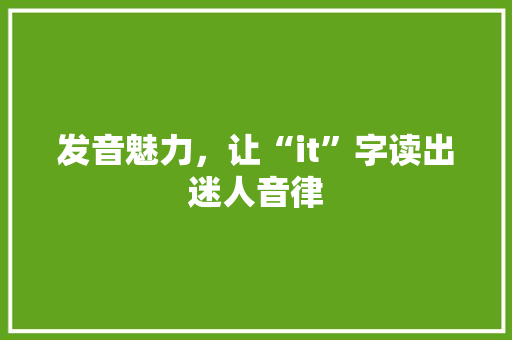 发音魅力，让“it”字读出迷人音律 百度SEO