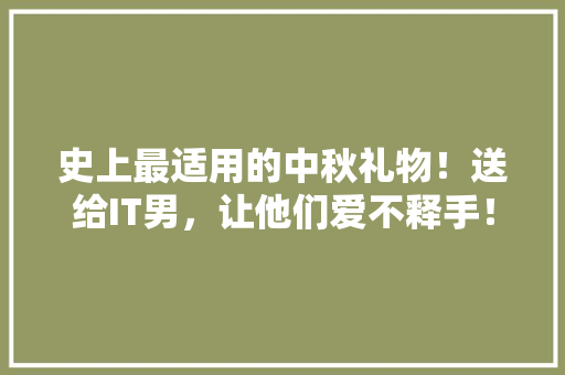 史上最适用的中秋礼物！送给IT男，让他们爱不释手！ 神马SEO
