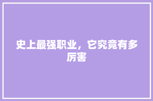 史上最强职业，它究竟有多厉害 必应SEO