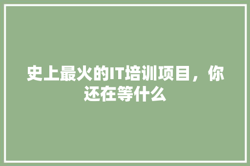 史上最火的IT培训项目，你还在等什么