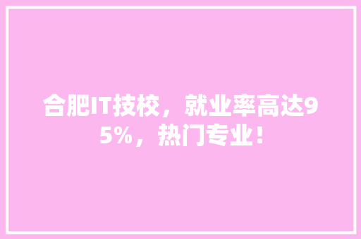 合肥IT技校，就业率高达95%，热门专业！ 必应SEO