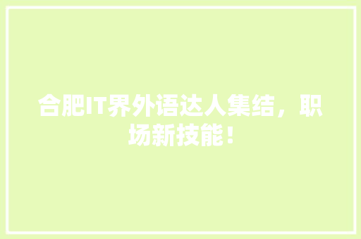 合肥IT界外语达人集结，职场新技能！ 必应SEO