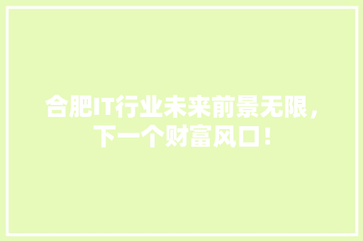 合肥IT行业未来前景无限，下一个财富风口！ 网站建设公司