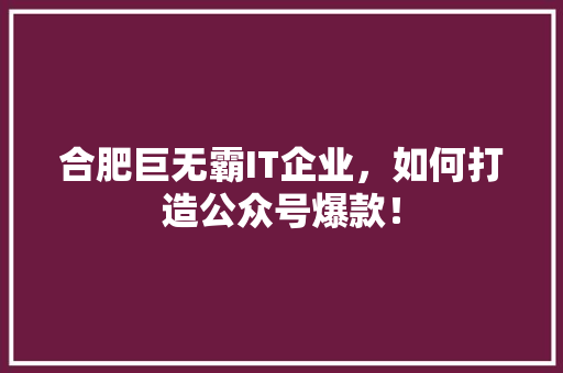 合肥巨无霸IT企业，如何打造公众号爆款！ 搜狗SEO