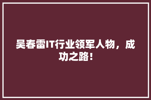 吴春雷IT行业领军人物，成功之路！ SEO关键词