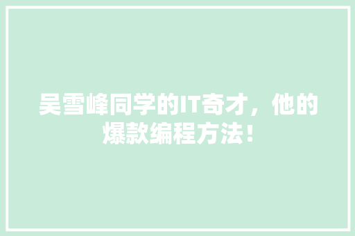 吴雪峰同学的IT奇才，他的爆款编程方法！ 必应SEO