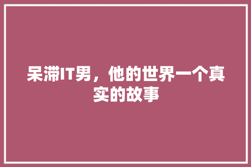 呆滞IT男，他的世界一个真实的故事 SEO关键词