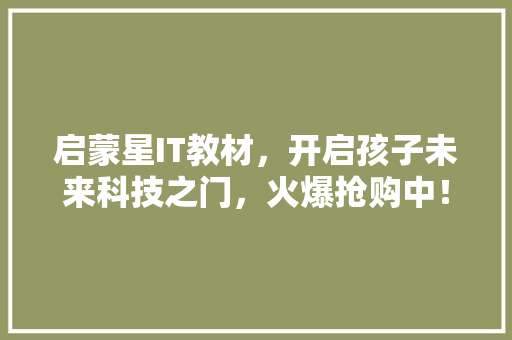 启蒙星IT教材，开启孩子未来科技之门，火爆抢购中！ 网站建设公司