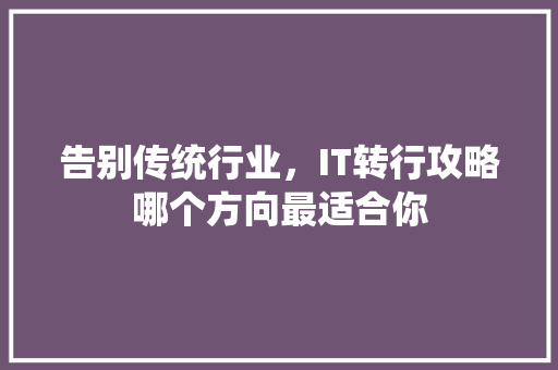 告别传统行业，IT转行攻略哪个方向最适合你 必应SEO
