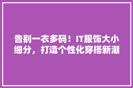 告别一衣多码！IT服饰大小细分，打造个性化穿搭新潮流 必应SEO