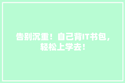 告别沉重！自己背IT书包，轻松上学去！ 必应SEO