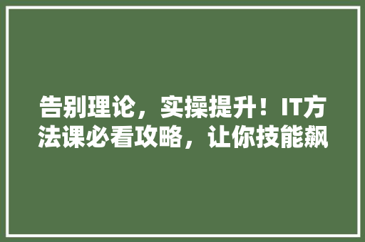 告别理论，实操提升！IT方法课必看攻略，让你技能飙升 必应SEO