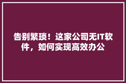 告别繁琐！这家公司无IT软件，如何实现高效办公 神马SEO