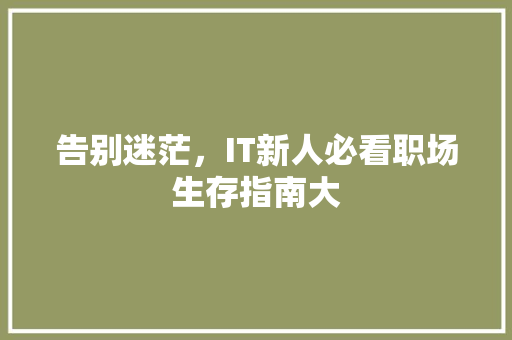 告别迷茫，IT新人必看职场生存指南大 百度SEO
