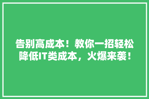 告别高成本！教你一招轻松降低IT类成本，火爆来袭！ 网站建设公司
