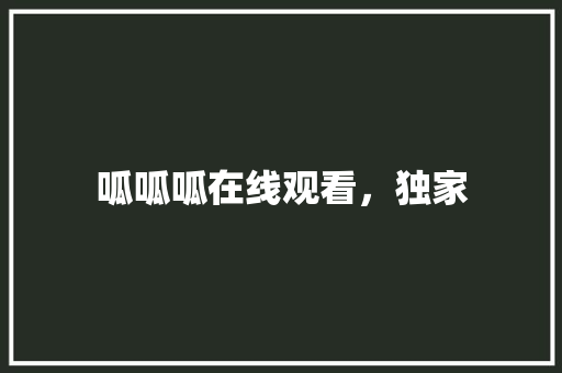 呱呱呱在线观看，独家 必应SEO