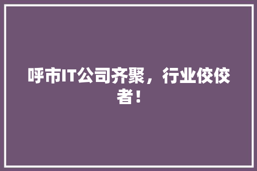 呼市IT公司齐聚，行业佼佼者！ 神马SEO
