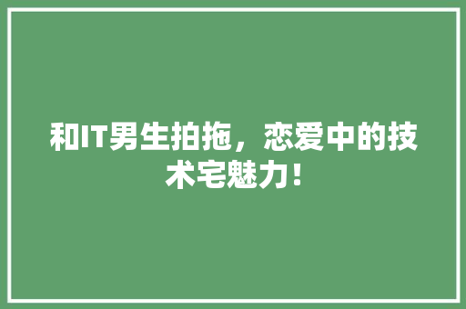和IT男生拍拖，恋爱中的技术宅魅力！ SEO关键词