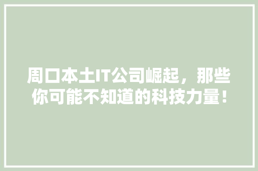 周口本土IT公司崛起，那些你可能不知道的科技力量！ 必应SEO