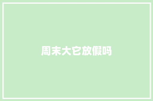 周末大它放假吗 必应SEO