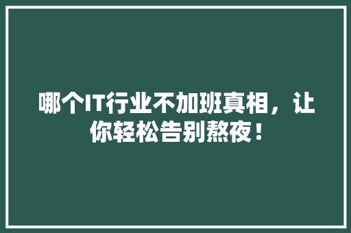 哪个IT行业不加班真相，让你轻松告别熬夜！ 必应SEO
